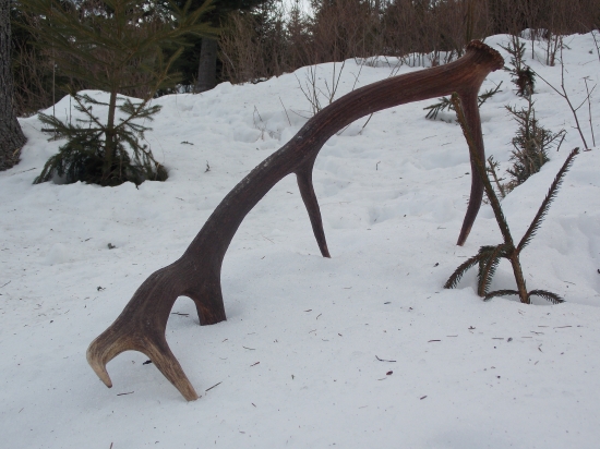 môj dalši do zbierky