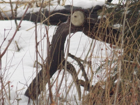 takto si namna počkal