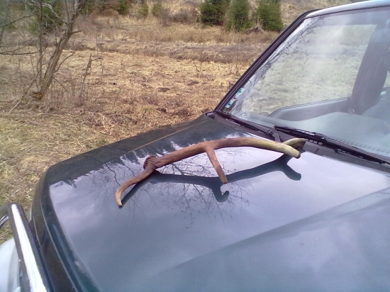 trošku starši ale potešil