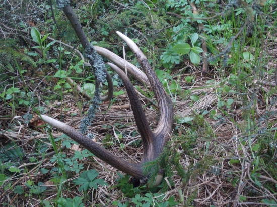 takto si na mna čakal