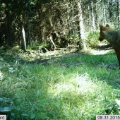 tak predsa sa ukazal