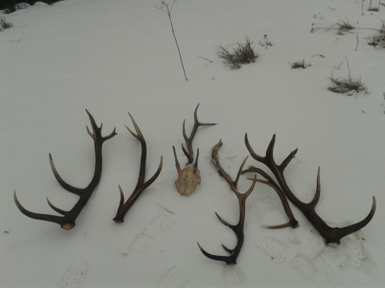 sobota nam toho dala