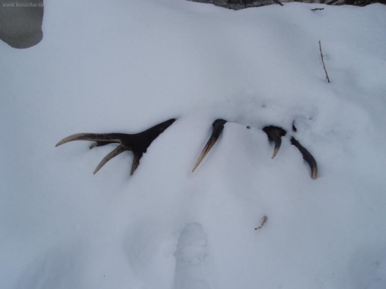 dnešny zhod a moj prvy