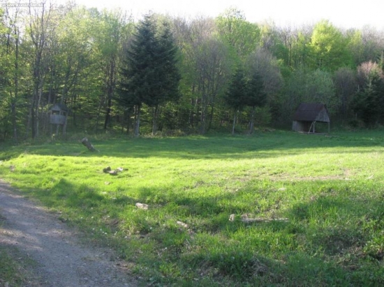 Perfektne na polovacku