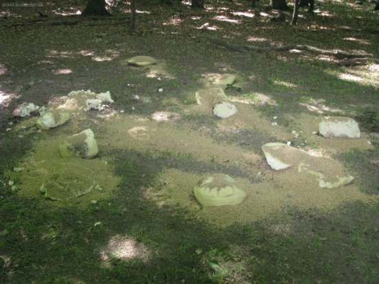 Prikrmovanie tvarohom neaky dobrovolnici ho tam dali???