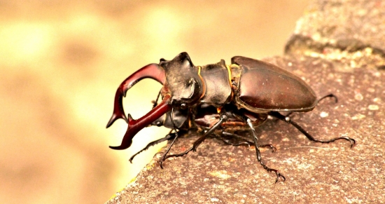 Kto vyhráva berie =)