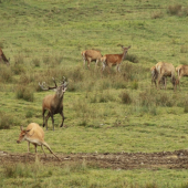 Tohtoročny prvý záber  =)