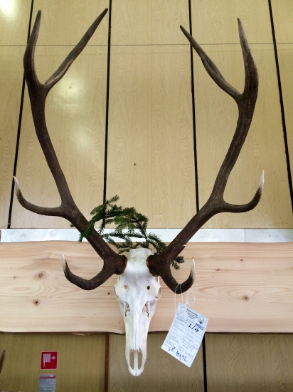 Foto k ID: 247541  Bronzový 184,12 CIC.