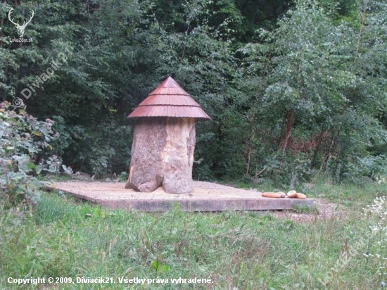 Nový