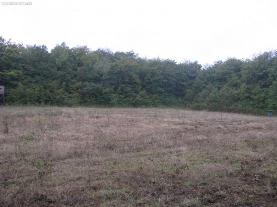 Krmelec aj kazatelnica