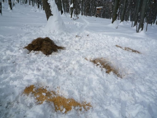 Aj v tažkej chvíli