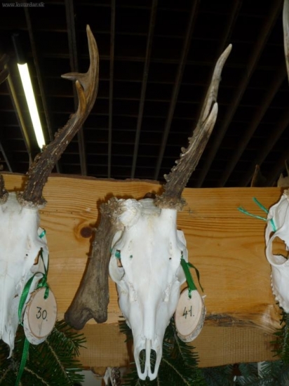 Chov. Prehliadka Z.Širava