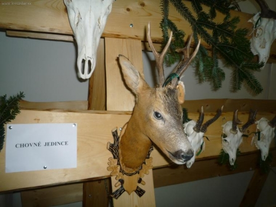 Chov. Prehliadka Z.Širava