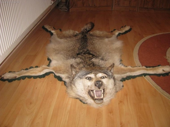 Pekny???? Posudte sami