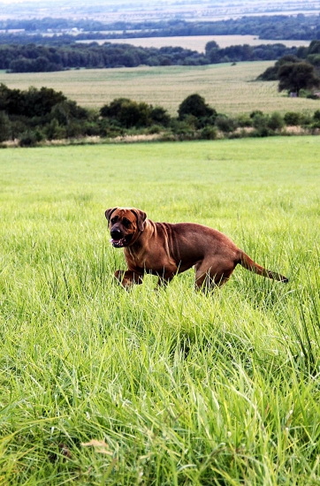 Niečo som zbadala :-O
