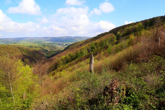 Časť nášho revíru