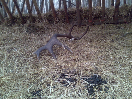 prvy+odkrrmeneee+odchodenee+DAKUJEM :)