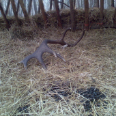 prvy+odkrrmeneee+odchodenee+DAKUJEM :)