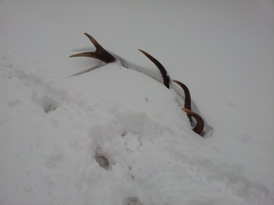 pre neveriacich a zavistlivých...