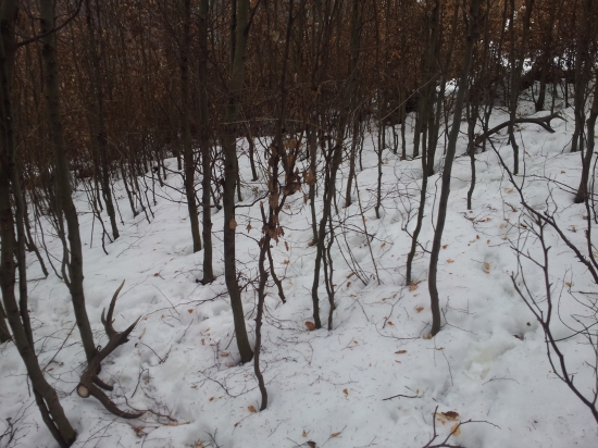 nepravidelny 18-torak