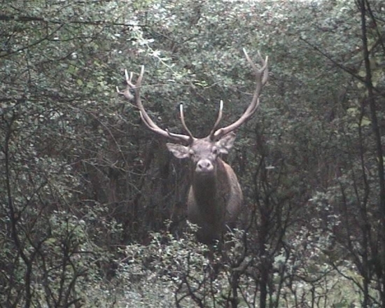 na tohto pana nezabudnem :)