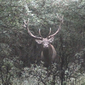 na tohto pana nezabudnem :)