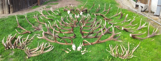 kilometrov a kilometrov...no kazdy jeden potesil :)