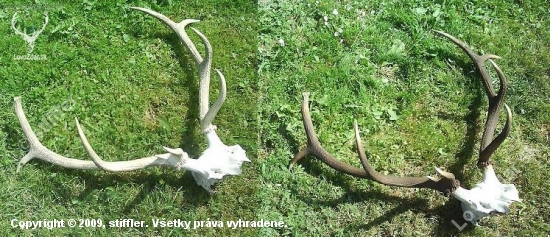 dalsia moja uprava