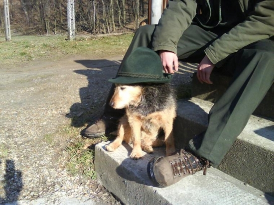 skúsený poľovník :)