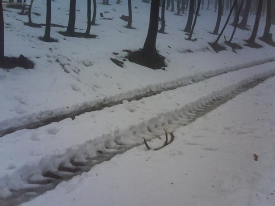 12 toraak,kto by ho pri ceste nezbadal :P cerstvo zhodeny..