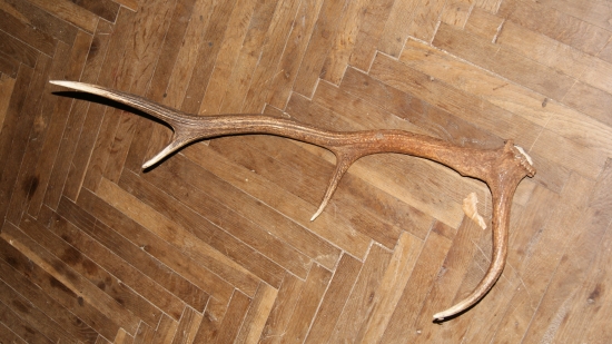 dnešny z prerezavki