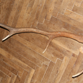 dnešny z prerezavki