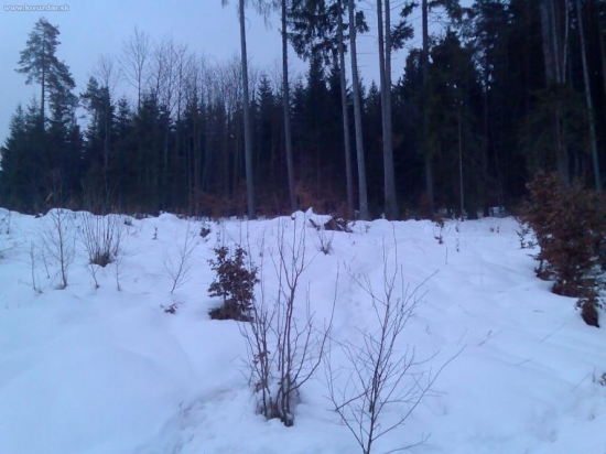 potulki po strelnici