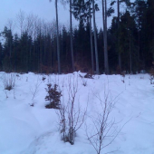 potulki po strelnici