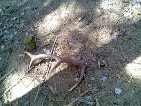 zase v praci ale slabši ako včera