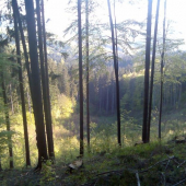 len tak jedno krasne  popoludnie