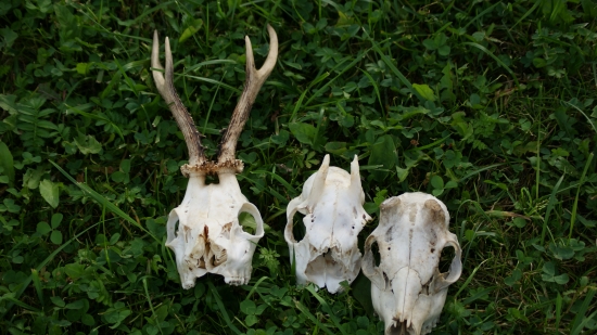 vjeden den na jednom mieste v okruhu 25 štvorcovích