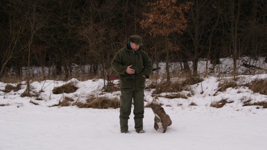 na vycadzke na morave