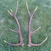 no vjeden den potešia:)