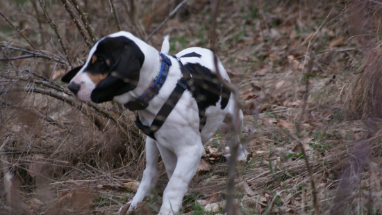 hmmm čosi tam je  mam hlasiť? :)