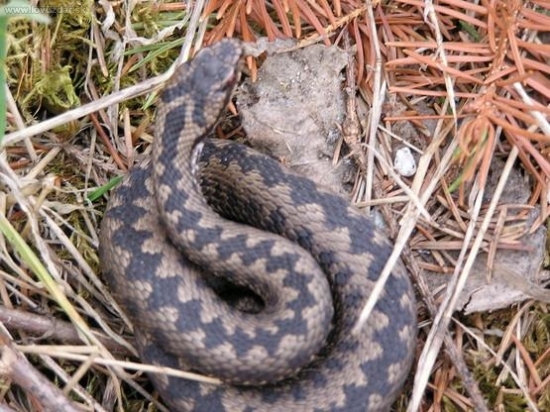 ej ale sa vam dary posledne tie roki