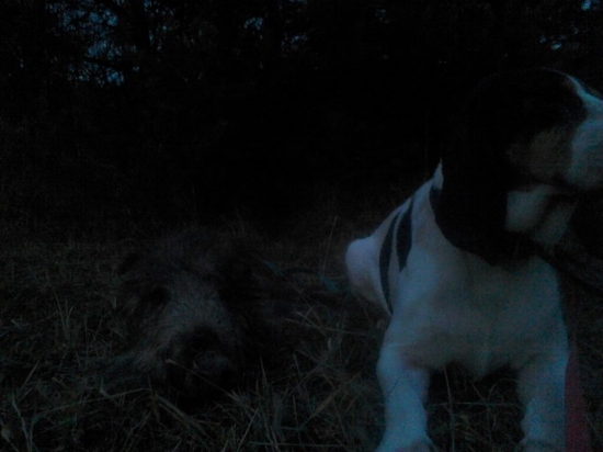 robená vlečka cca 800 metrou praca dobrá len dohladanie neohlásoval