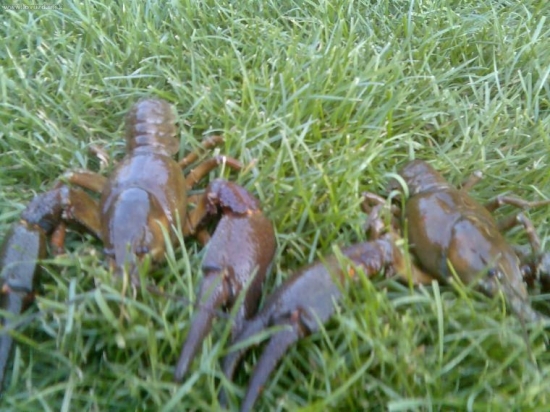 u kamoški na chalupe:)