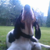 georgy