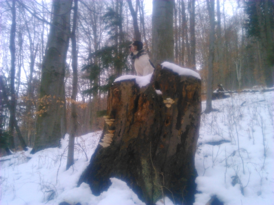 zaujaty pod kaliskom