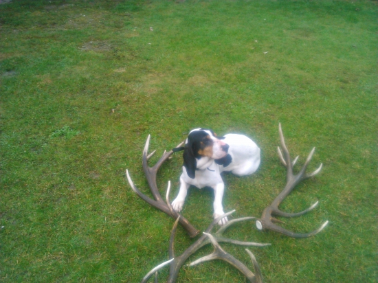 tak toho roku sa zadarilo