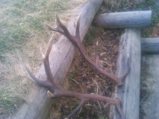 tak ešte raz ten šestnastoračik