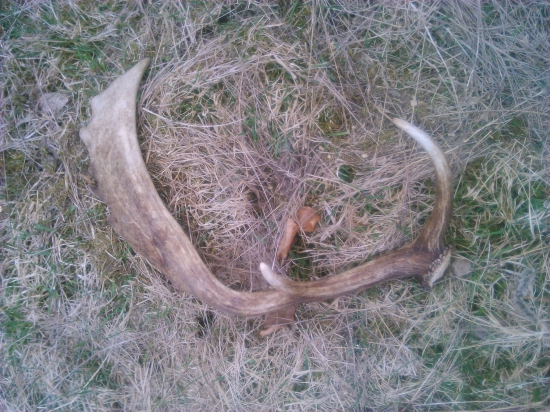 dnes v praci najdeny aj nechany