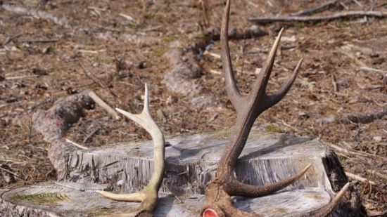 starí minuloročny a tochto ročny:)