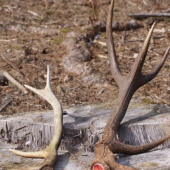 starí minuloročny a tochto ročny:)